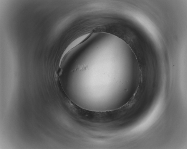 X0000112750190200908271549