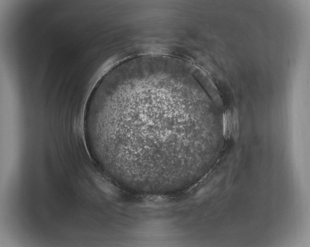 X0000112750195200908271549