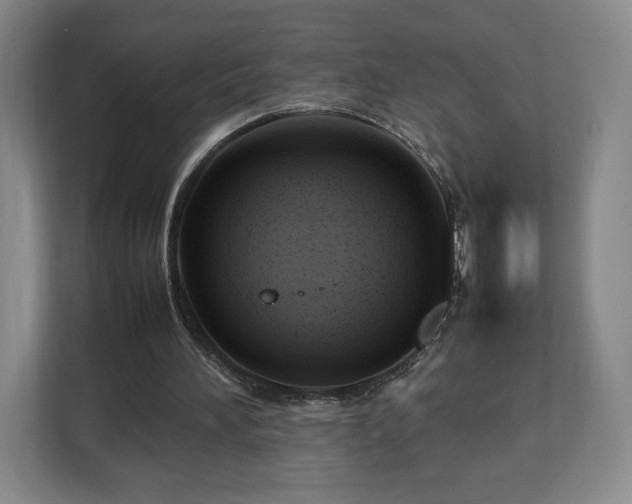 X0000112750196200908271549