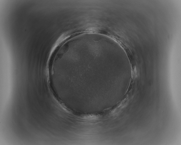 X0000112750198200908271549