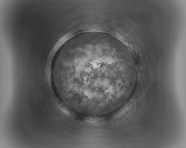 X0000112750199200908271549