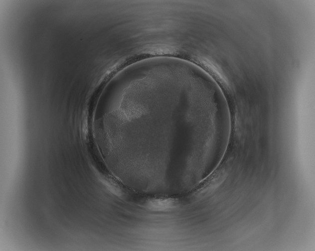 X0000112750202200908271549