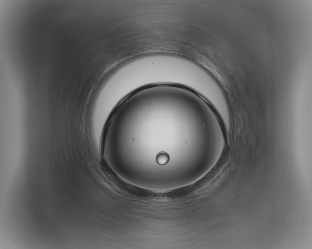 X0000112750203200908271549