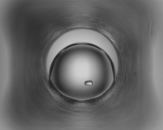 X0000112750205200908271549