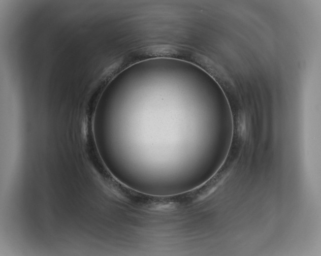 X0000112750206200908271549