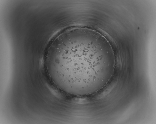 X0000112750208200908271549