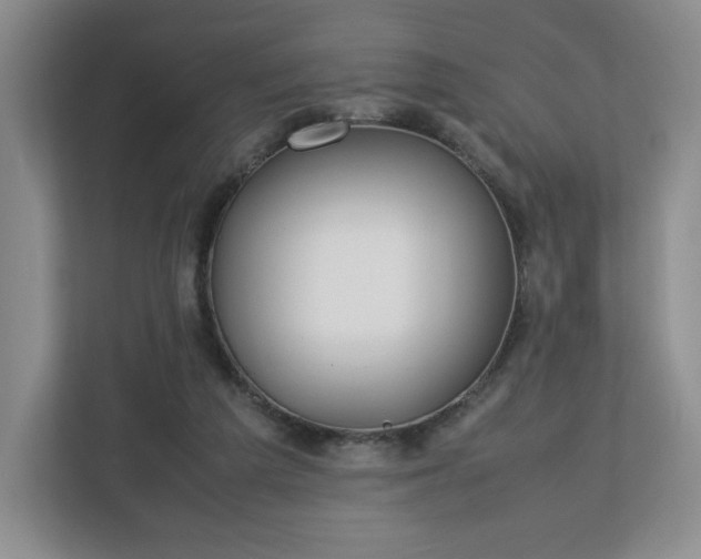 X0000112750209200908271549