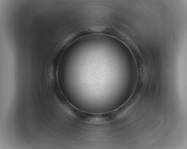 X0000112750212200908271548