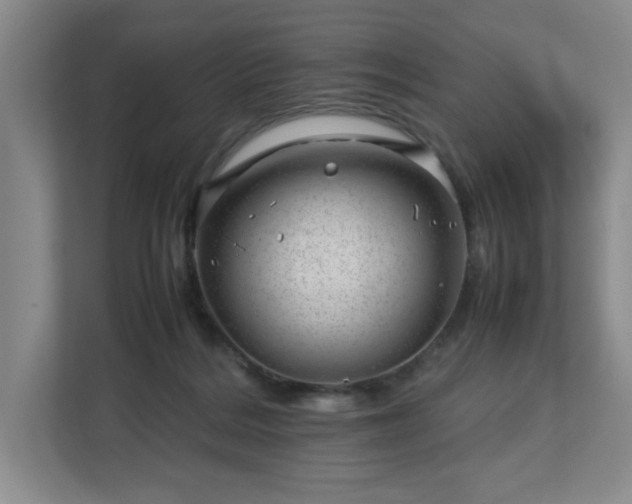 X0000112750220200908271548