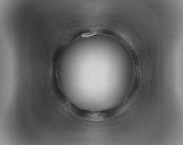 X0000112750221200908271548