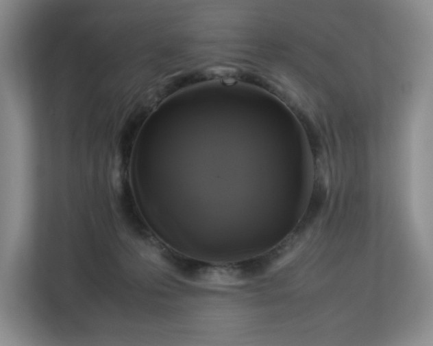 X0000112750223200908271548