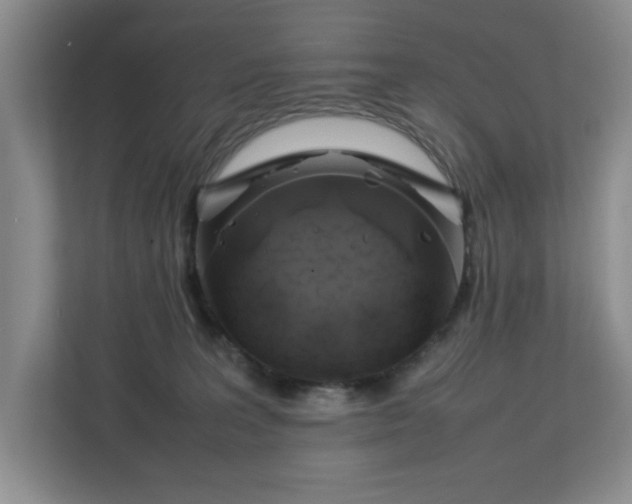 X0000112750227200908271548