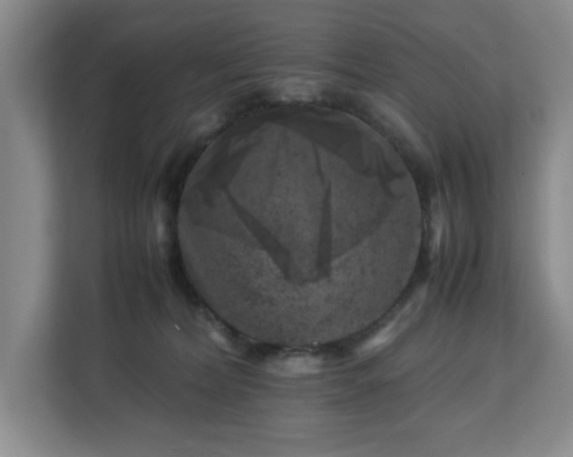 X0000112750228200908271548