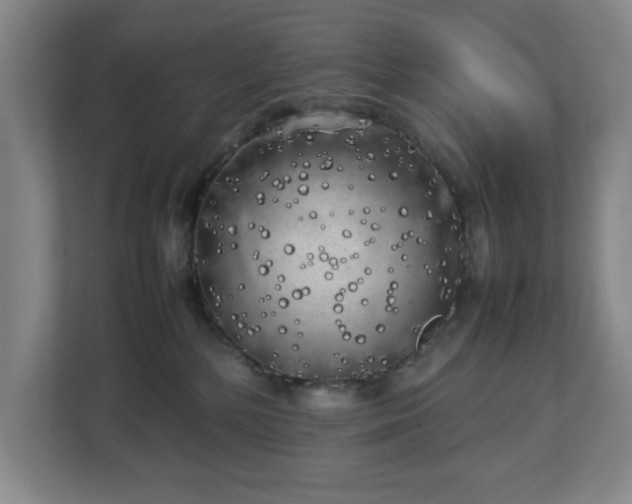 X0000112750232200908271548