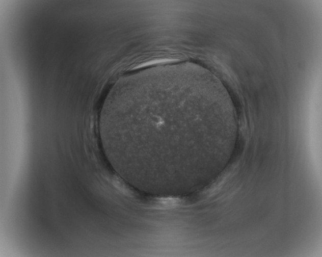 X0000112750233200908271548