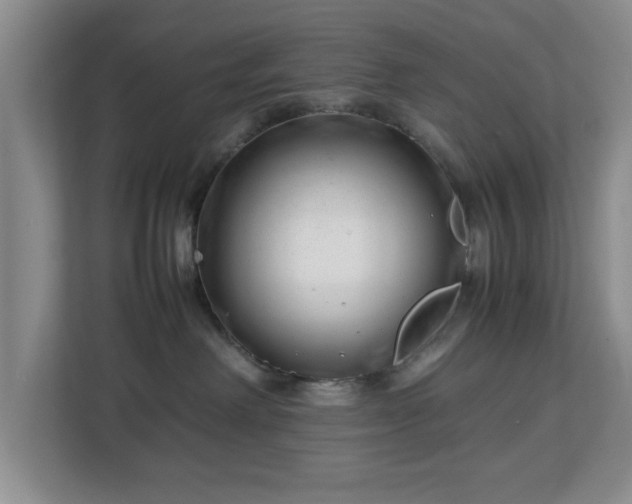 X0000112750238200908271548