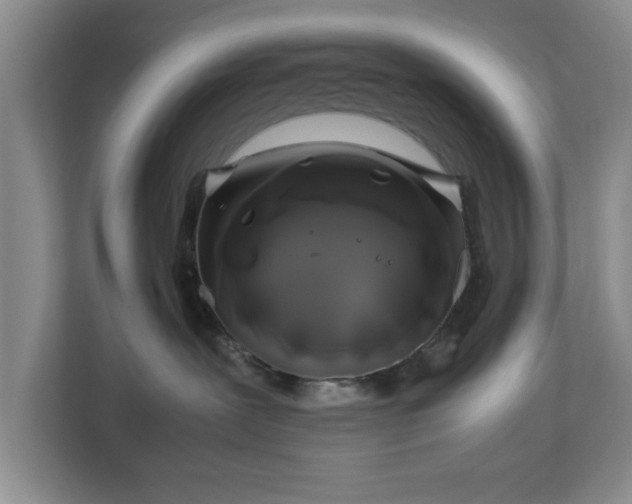 X0000112750239200908271548