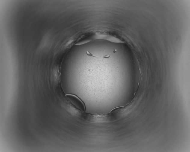 X0000112750240200908271548