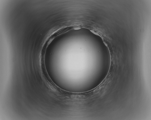 X0000112750242200908271548