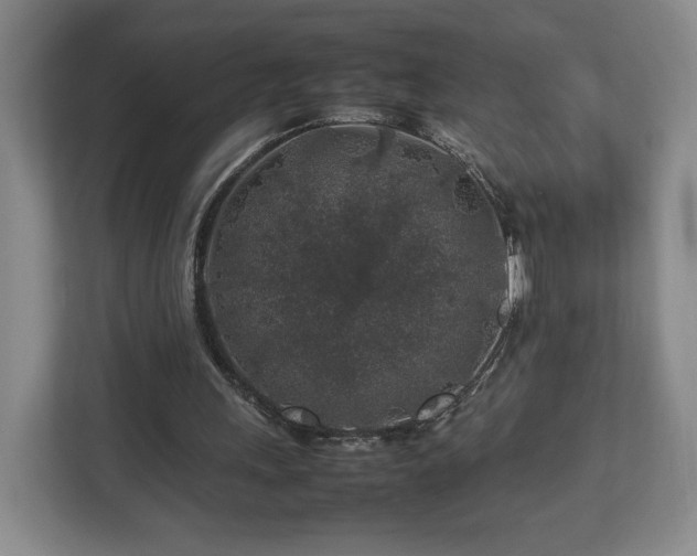 X0000112750243200908271548