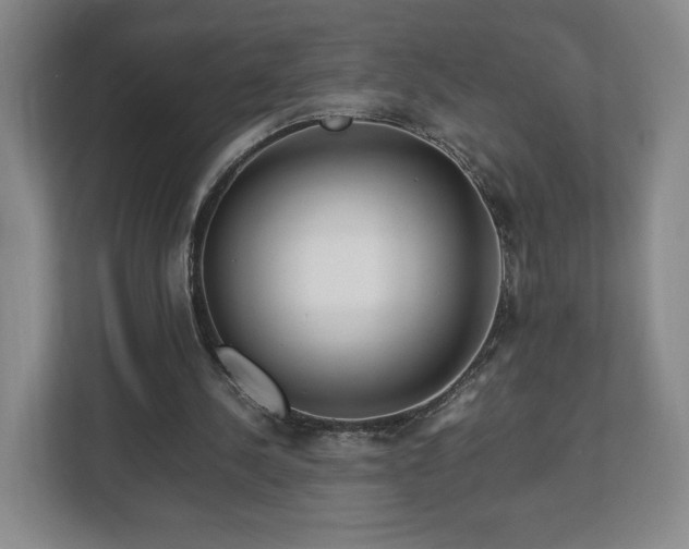 X0000112750244200908271548