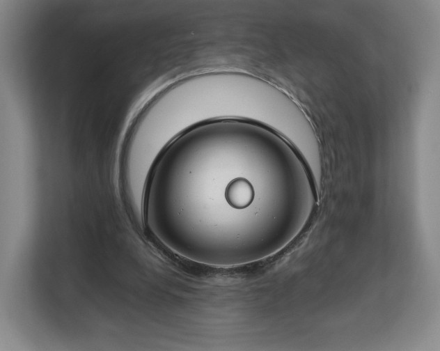 X0000112750248200908271548