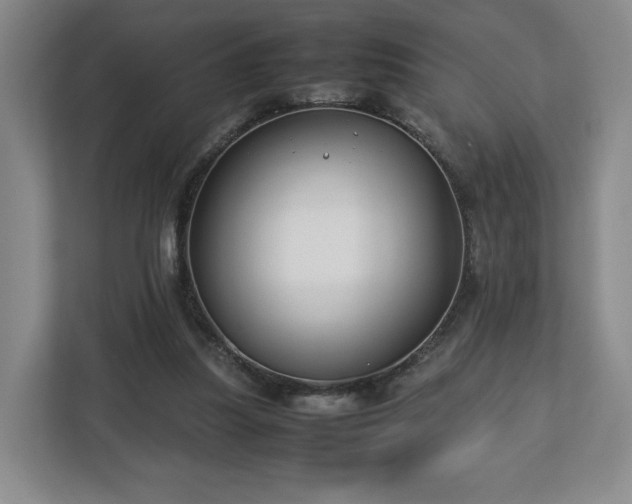 X0000112750251200908271548