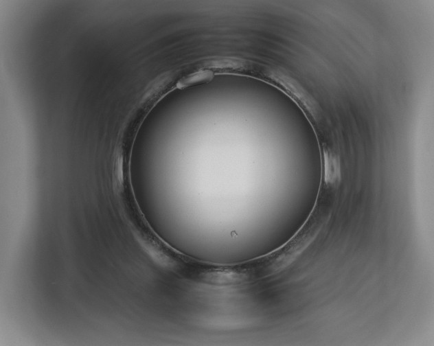 X0000112750253200908271548