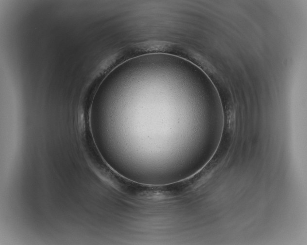 X0000112750254200908271548