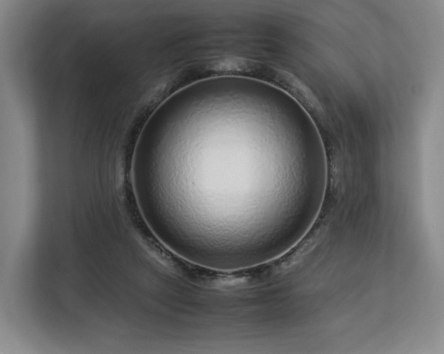 X0000112750257200908271548