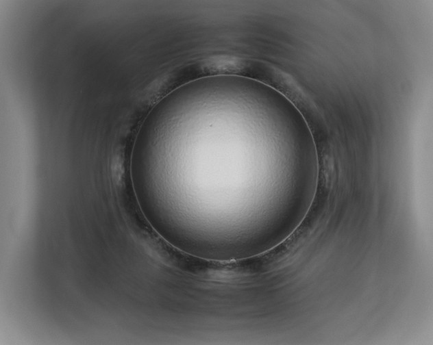 X0000112750259200908271548