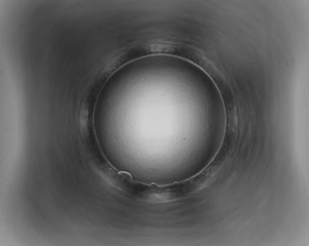 X0000112750263200908271548