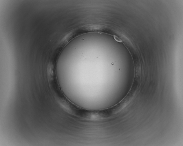 X0000112750264200908271548