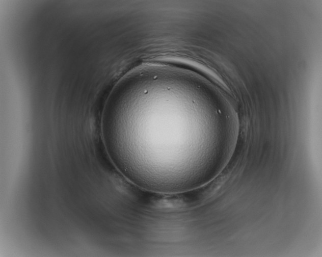 X0000112750270200908271548