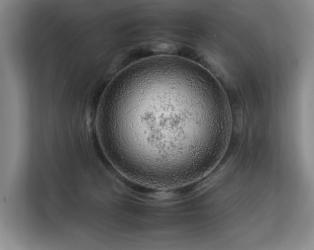 X0000112750273200908271548