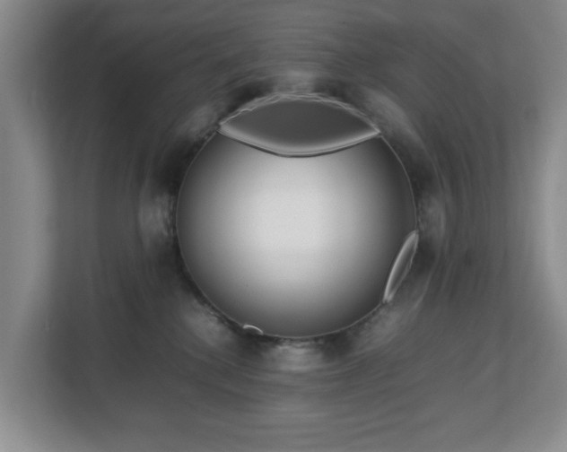 X0000112750280200908271548