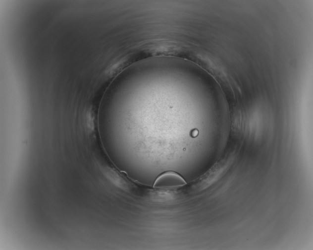 X0000112750282200908271548