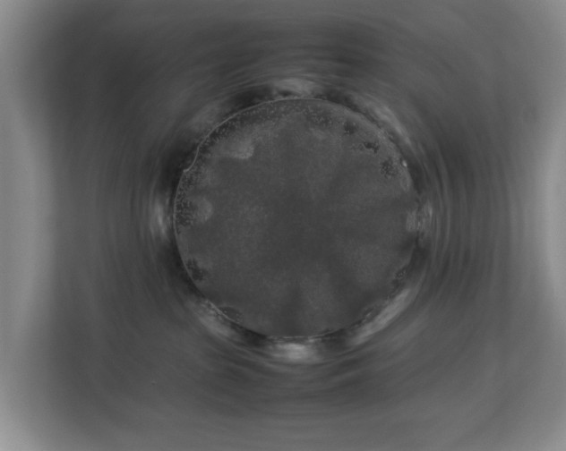 X0000112750285200908271548