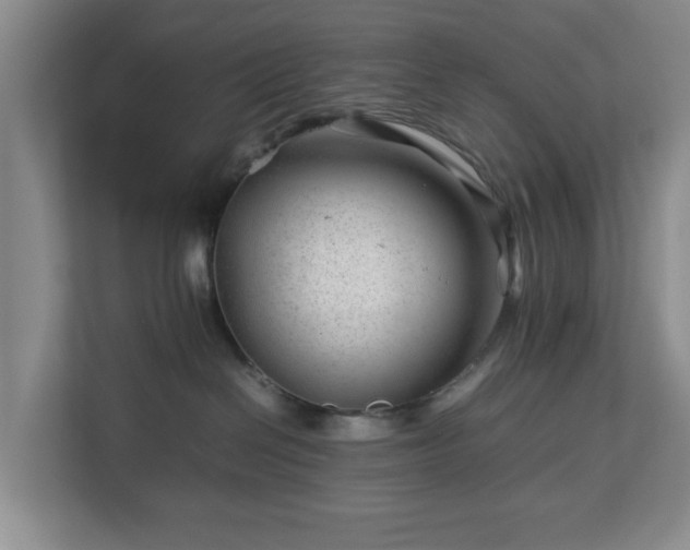 X0000112750286200908271548