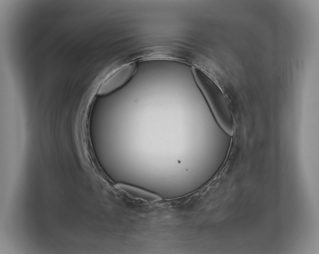 X0000112750289200908271547