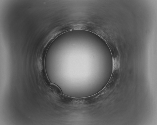 X0000112750291200908271547