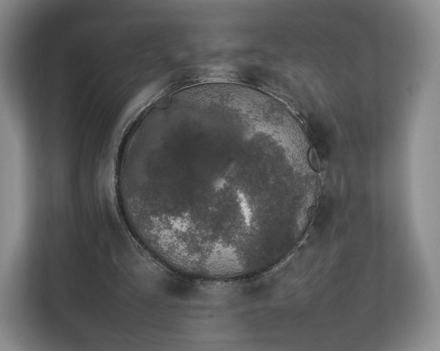 X0000112750293200908271547