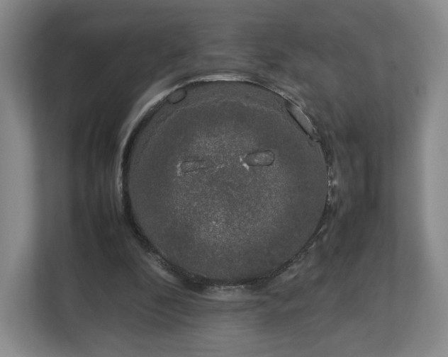 X0000112750296200908271547