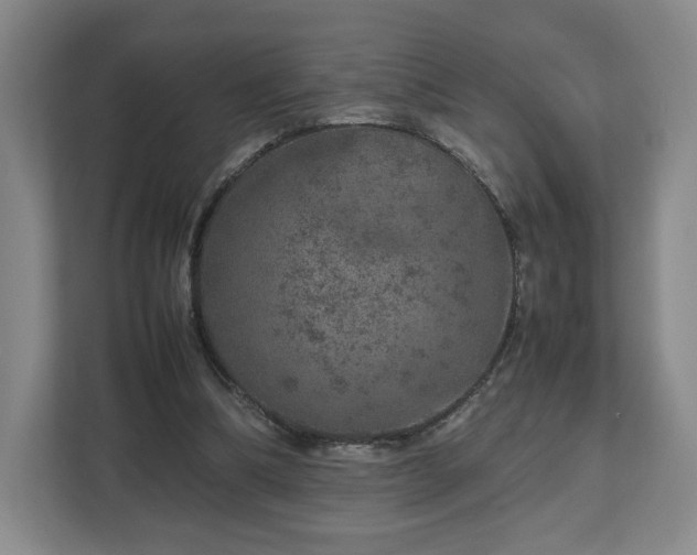 X0000112750298200908271547