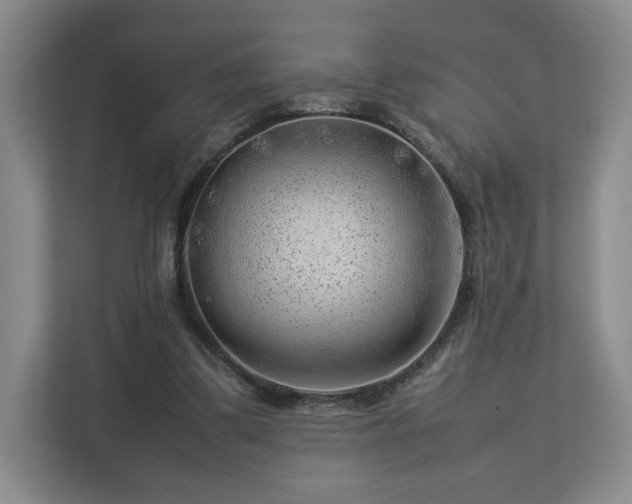 X0000112750299200908271547