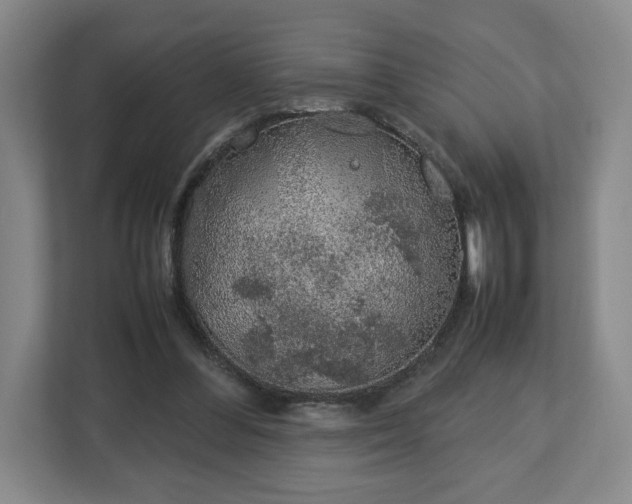 X0000112750300200908271547