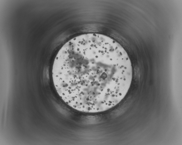 X0000112750302200908271547