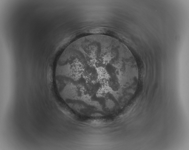 X0000112750303200908271547