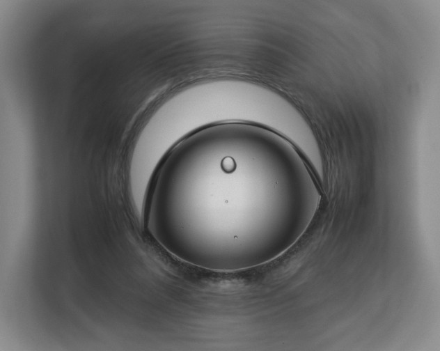 X0000112750304200908271547