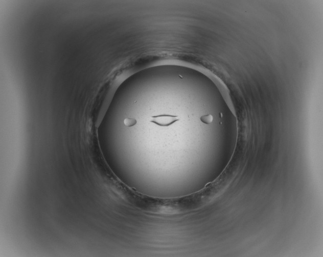 X0000112750308200908271547